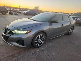 2020 Nissan Maxima 1N4AA6CV8LC381598