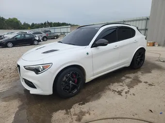 2020 Alfa Romeo Stelvio ZASPAKEV8L7C95458