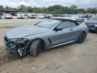 2023 BMW 8ER WBAFY4C00PCM83100