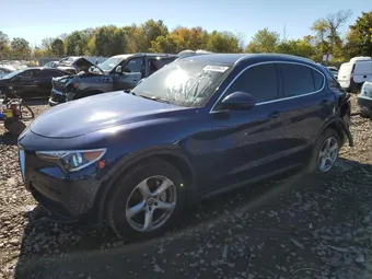 2019 Alfa Romeo Stelvio ZASPAKAN1K7C31556