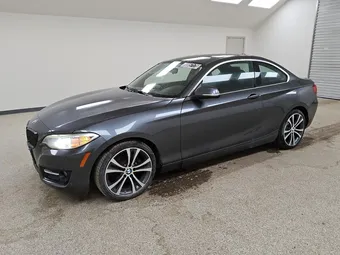 2016 BMW 2ER WBA1F9C56GV545953