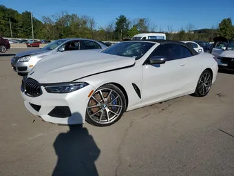 2019 BMW 8ER WBAFY4C55KBX39015