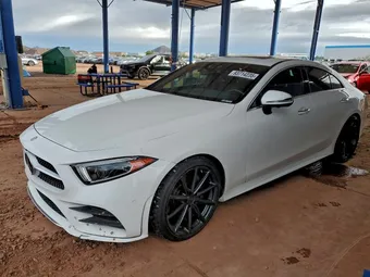 2019 Mercedes-Benz CLS-Class WDD2J5JBXKA010332