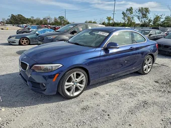 2015 BMW 2ER WBA1F5C59FV257528