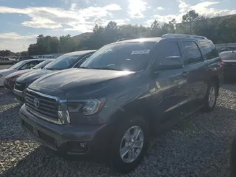 2019 Toyota Sequoia 5TDZY5G11KS072546
