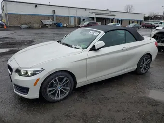 2018 BMW 2 Series WBA2K1C55JVD41169