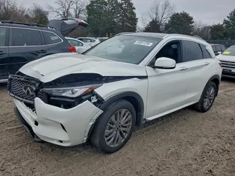 2024 Infiniti QX50 3PCAJ5BA8RF115223