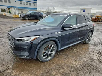 2019 Infiniti QX50 3PCAJ5M31KF125466