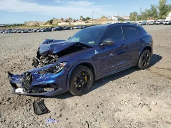 2020 Alfa Romeo Stelvio ZASPAKEV8L7C94438