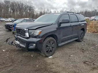 2019 Toyota Sequoia 5TDBY5G1XKS173862