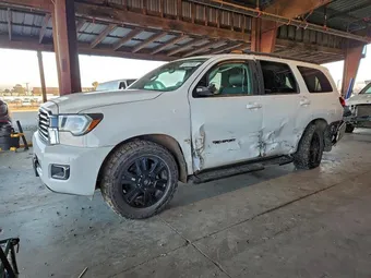 2019 Toyota Sequoia 5TDBY5G11KS168985
