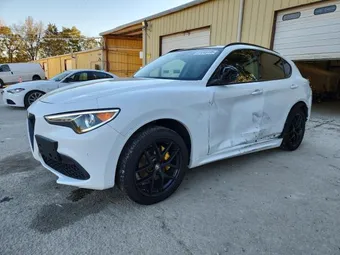 2021 Alfa Romeo Stelvio ZASPAKBN6M7D20007