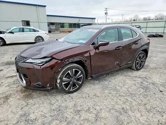 2019 Lexus UX 250H JTHU9JBH3K2007255