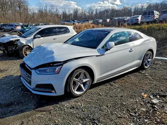 2019 Audi A5 WAUTNAF55KA017314