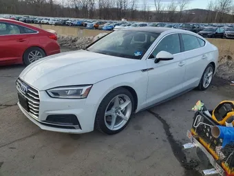 2019 Audi A5 WAUENCF58KA087572