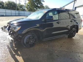 2019 Toyota Sequoia 5TDBY5G10KS171439