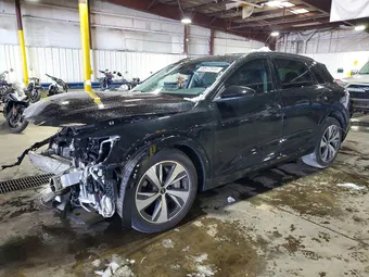 2024 Audi Q8 e-tron WA14AAGE1RB035129