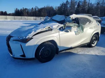 2025 Lexus UX JTHUCJDH0S2008636
