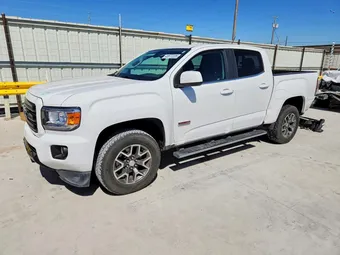 2019 GMC Canyon 1GTG6FEN2K1137491