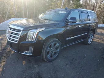 2019 Cadillac Escalade 1GYS4DKJ7KR246191