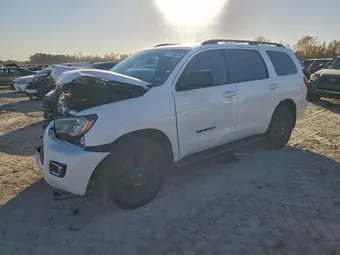 2019 Toyota Sequoia 5TDZY5G12KS073172