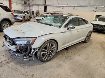 2024 Audi S5 WAUC4CF59RA113651