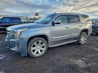 2019 Cadillac Escalade 1GYS4BKJ1KR103886