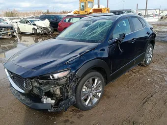 2025 Mazda CX-30 3MVDMBCM6SM818654