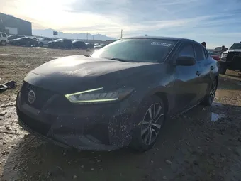 2019 Nissan Maxima 1N4AA6AV8KC380033