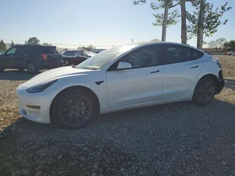 2021 Tesla Model 3 5YJ3E1EA0MF066688 Lot 79960165