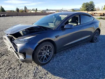 2021 Tesla Model 3 5YJ3E1EB3MF974397 Lot 73924725
