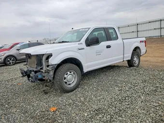 2020 Ford F-150 1FTFX1E51LKE24599 Lot 48616826