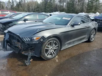 2016 Ford Mustang 1FA6P8TH2G5308392 Lot 79767605