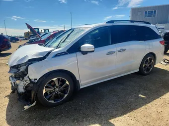 2024 Honda Odyssey 5FNRL6H85RB502500