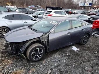 2021 Honda Insight 19XZE4F55ME011429