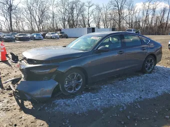 2024 Honda Accord 1HGCY2F60RA067249 Lot 73376325