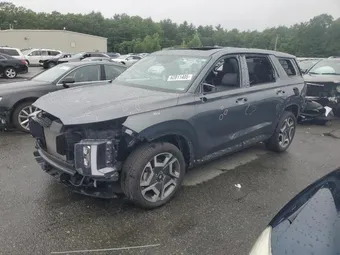 2023 Hyundai Palisade KM8R5DGE7PU496558 Lot 62811405