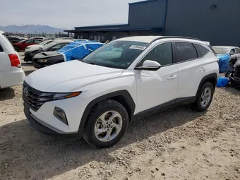 2023 Hyundai Tucson 5NMJBCAEXPH223389 Lot 41998466
