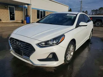 2019 Hyundai Sonata 5NPE24AF6KH733766 Lot 79902655