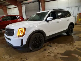 2022 Kia Telluride 5XYP3DHC8NG318459 Lot 79774245