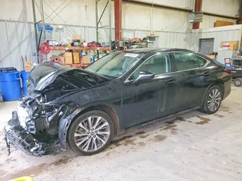 2021 Lexus ES 250 58AD11D12MU007882 Lot 73669245