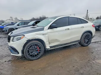 2017 Mercedes-Benz GLE-Class 4JGED7FBXHA064625 Lot 41603446