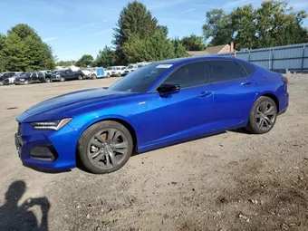 2023 Acura TLX 19UUB6F52PA005661 Lot 84720965