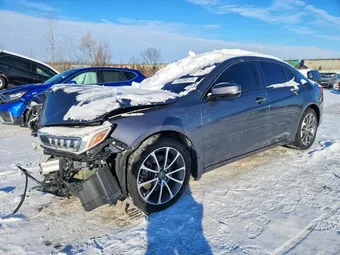 2019 Acura TLX 19UUB3F31KA802408 Lot 75426515