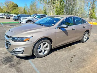 2023 Chevrolet Malibu 1G1ZD5ST3PF194099 Lot 49470636