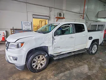 2019 Chevrolet Colorado 1GCGTCEN6K1115081 Lot 41920476