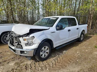 2017 Ford F-150 1FTEW1CF4HKD00442 Lot 48495496