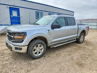 2025 Ford F-150 1FTEW3LP3SKE08921 Lot 50176916