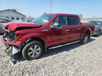 2019 Ford F-150 1FTEW1E58KFB25908 Lot 80387155