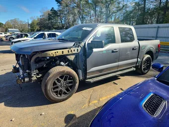 2025 Ford F-150 1FTEW2KPXSKF53739 Lot 79472165